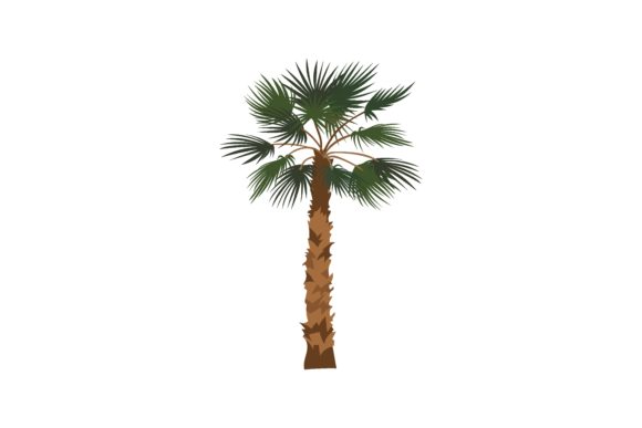 Download Jungle Palm Tree Cartoon Illustration. P - Jungle palm Collection